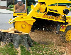 Advanced Tree Lopping And Gardening