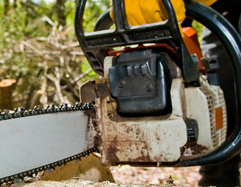 Advanced Tree Lopping And Gardening